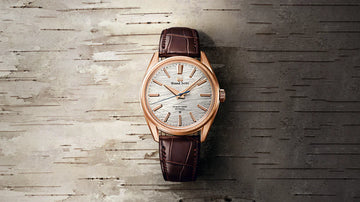 The Pioneer in India: The Untold Story of Favre-Leuba and Other Swiss Brands