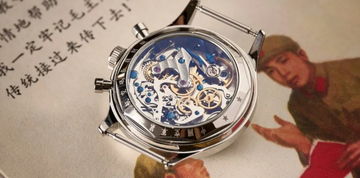 Seagull Revolution How a Little Movement Built Big Trust